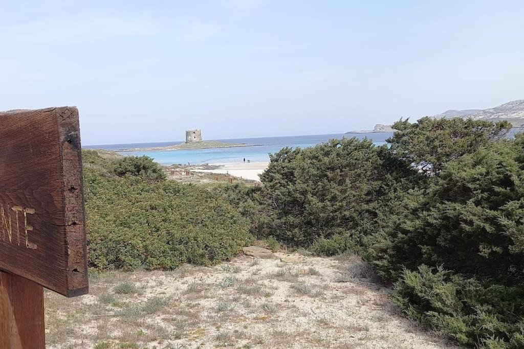 Casa Vacanze Con Giardino I Girasoli - Cin It 09006 - 9 C 2000 R4042- سورسو المظهر الخارجي الصورة