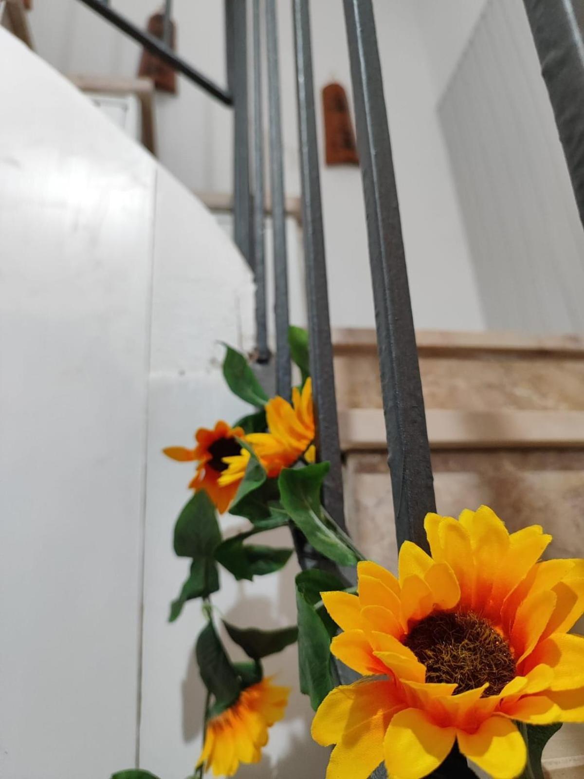 Casa Vacanze Con Giardino I Girasoli - Cin It 09006 - 9 C 2000 R4042- سورسو المظهر الخارجي الصورة